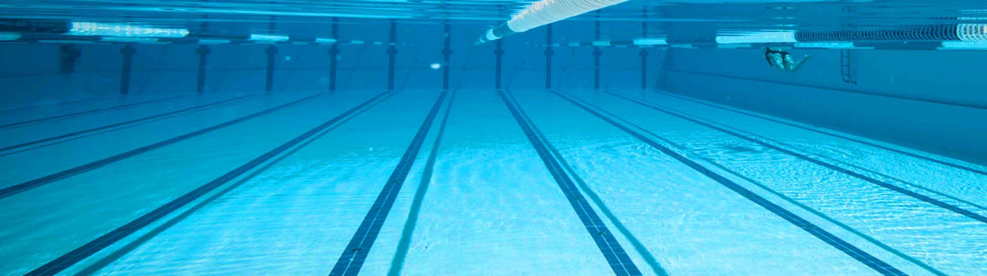 SSV Höchstädt Schwimmen